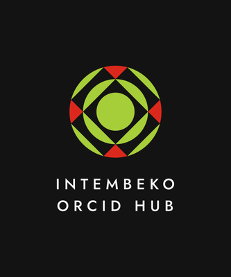 Introducing the Intembeko ORCID Hub